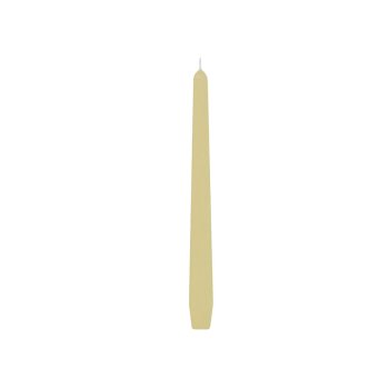 120 Stk. Spitzkerzen champagner +/- 8 Std.  23,5 x 245 mm